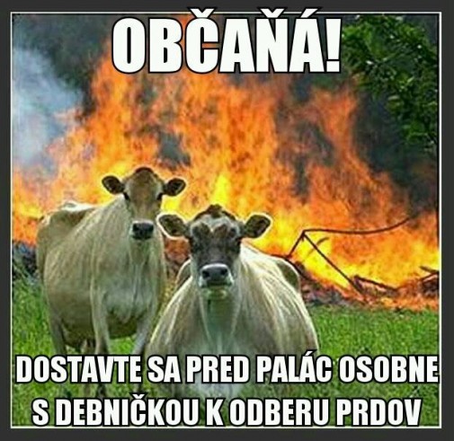 Určené na vývoz do Emeriky